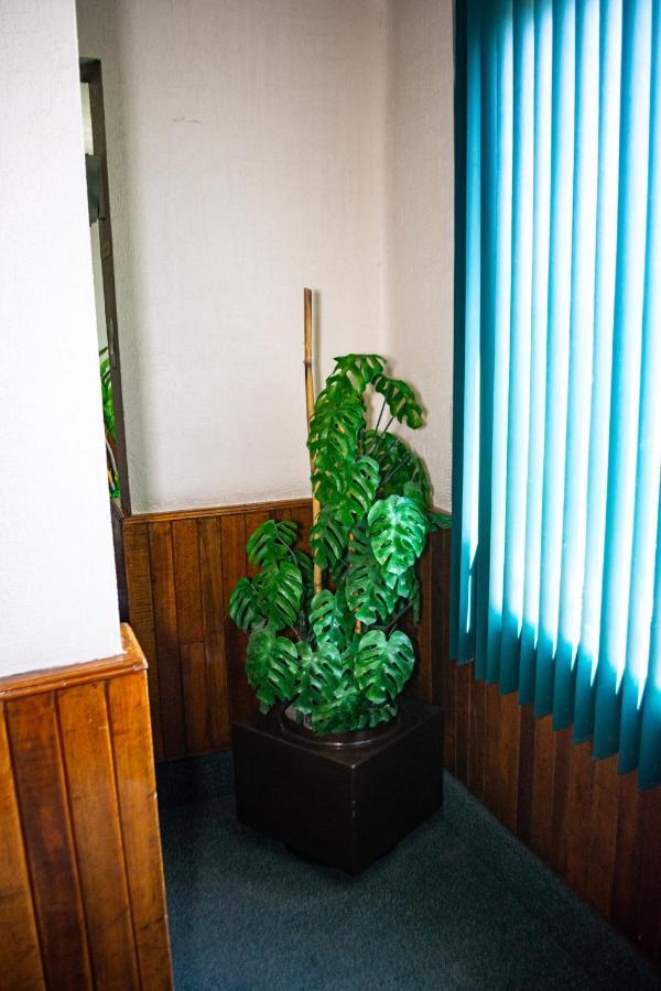 Hotel Guadalajara San Luis Potosí Zewnętrze zdjęcie